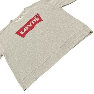 Levi's Gray Pullover Long Sleeve Sweatshirt Women's Size Size 2X Red Tab Logo